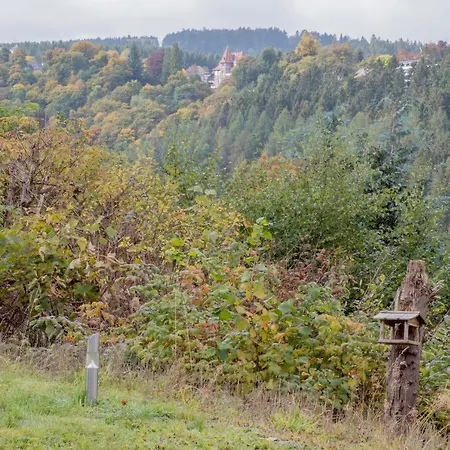 Appartement Ferienapartment Landwohnung Theresa Winterberg